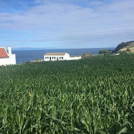 Sunrise - Casa Sao Joao - 4 Star Tourist Appartement *