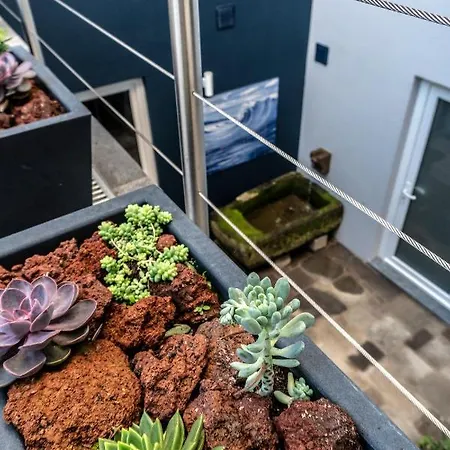 Daire Sunrise - Casa Sao Joao - 4 Star Tourist *