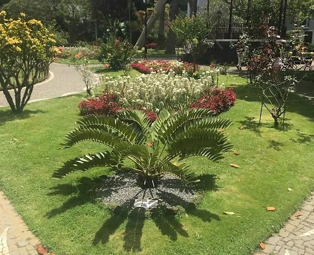 Sunrise - Casa Sao Joao - 4 Star Tourist