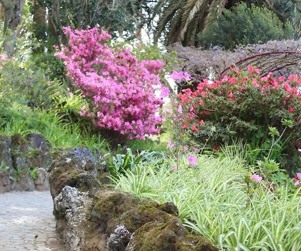 Sunrise - Casa Sao Joao - 4 Star Tourist 公寓 英雄港