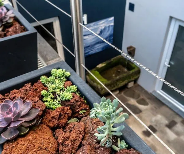 公寓 Sunrise - Casa Sao Joao - 4 Star Tourist *