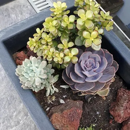 Sunrise - Casa Sao Joao - 4 Star Tourist * アングラ・ド・エロイーズモ