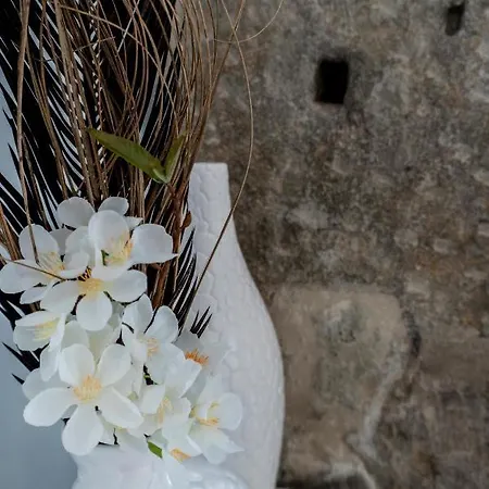 アパート Sunrise - Casa Sao Joao - 4 Star Tourist アングラ・ド・エロイーズモ