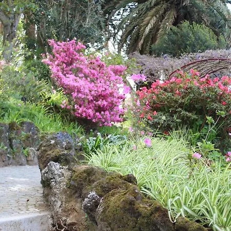 Sunrise - Casa Sao Joao - 4 Star Tourist アパート アングラ・ド・エロイーズモ