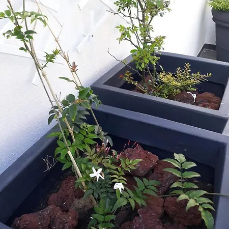 アパート Sunrise - Casa Sao Joao - 4 Star Tourist