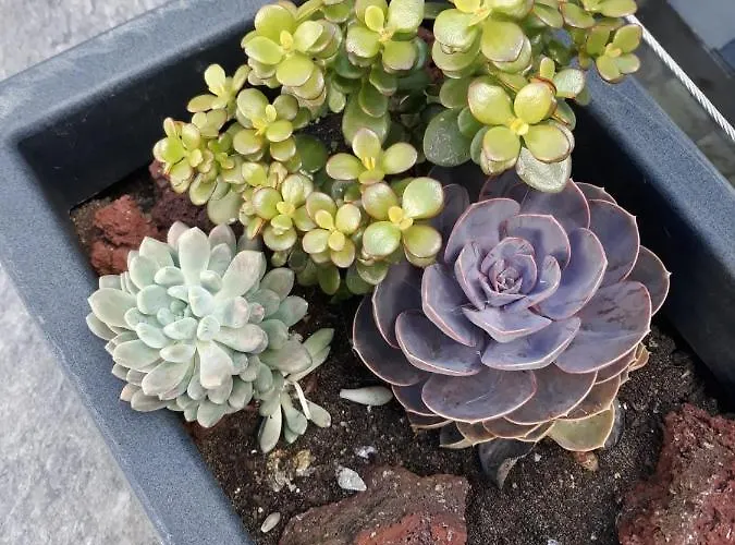 Sunrise - Casa Sao Joao - 4 Star Tourist * Angra do Heroísmo