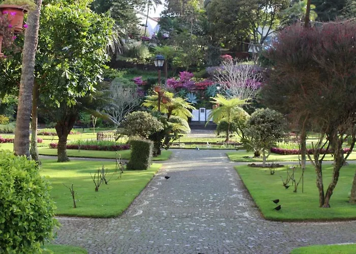 Sunrise - Casa Sao Joao - 4 Star Tourist Apartment