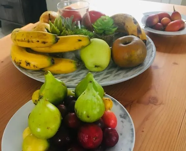 Apartment Sunrise - Casa Sao Joao - 4 Star Tourist *